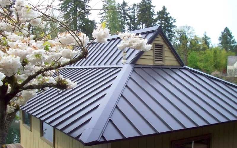 Gable roof house - Buildi